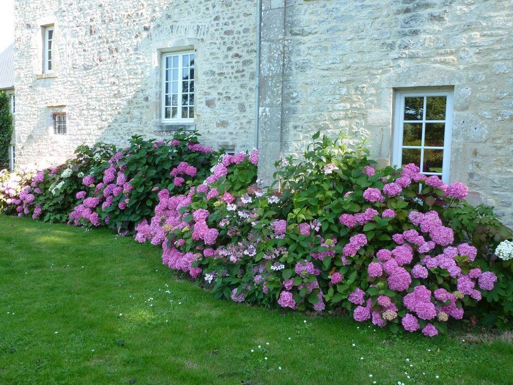 Bed and Breakfast Manoir De Savigny Valognes Exterior foto